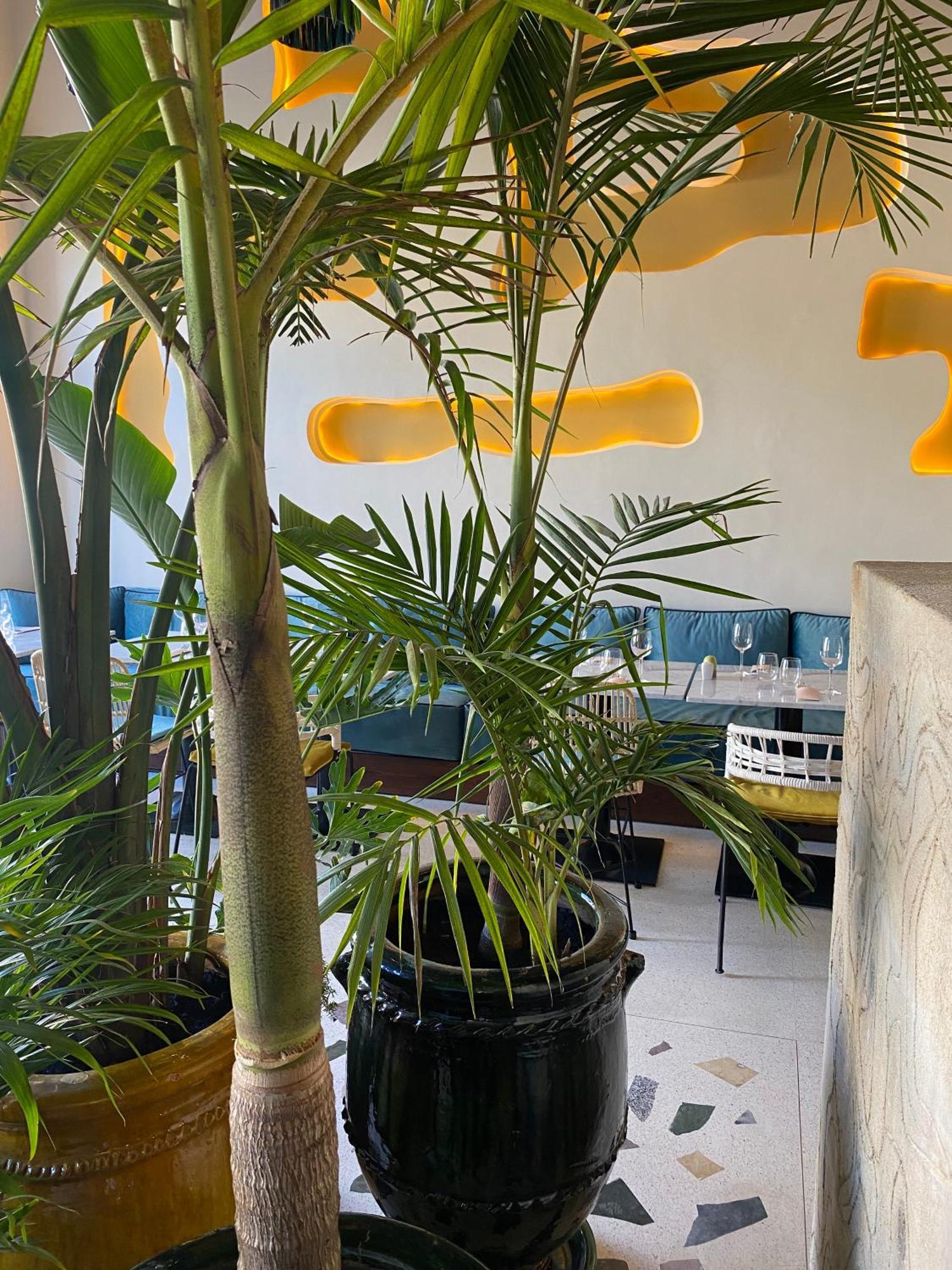 索维拉 Le Palazzo酒店 外观 照片